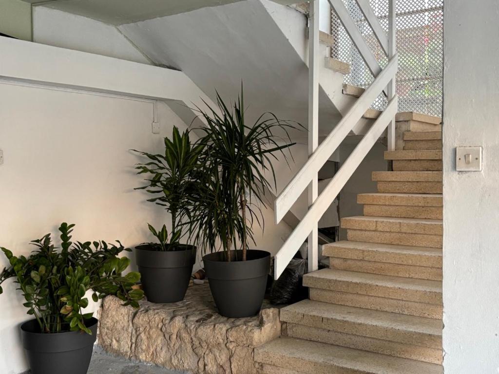 Venus Lighthouse 2B, Sea-View, Paphos Center Apartment Екстериор снимка